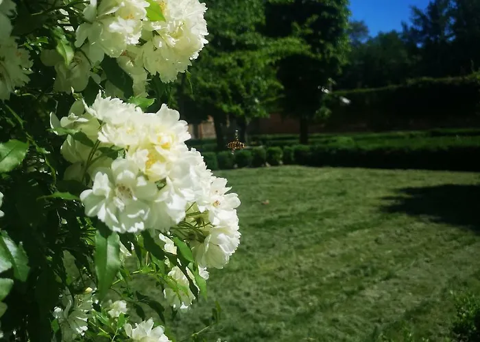 Convent Palace Lägenhet Bologna