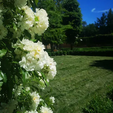 Convent Palace Apartment Bologna
